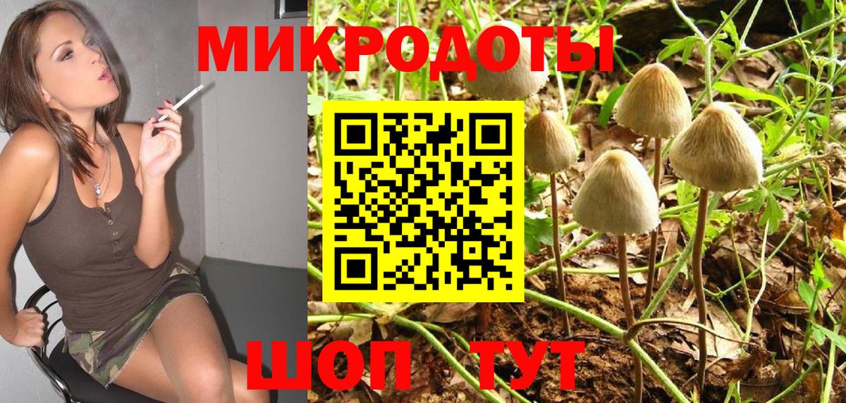 Сегежа  хочу   Вход с VPN  Галлюциногенные грибы Cubensis 