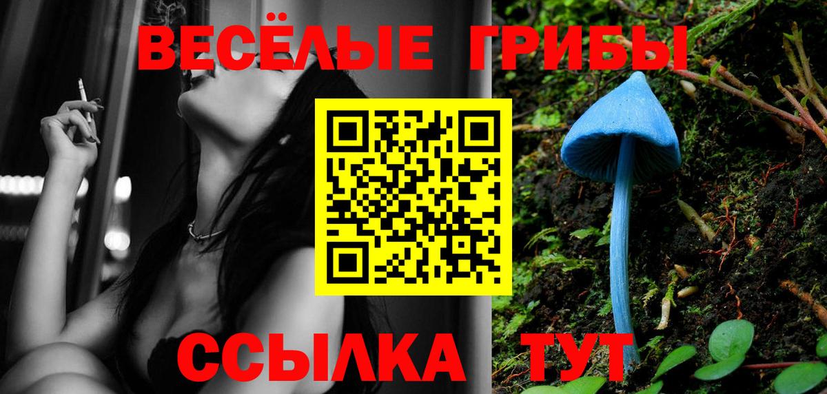 Псилоцибиновые грибы Magic Shrooms Сегежа